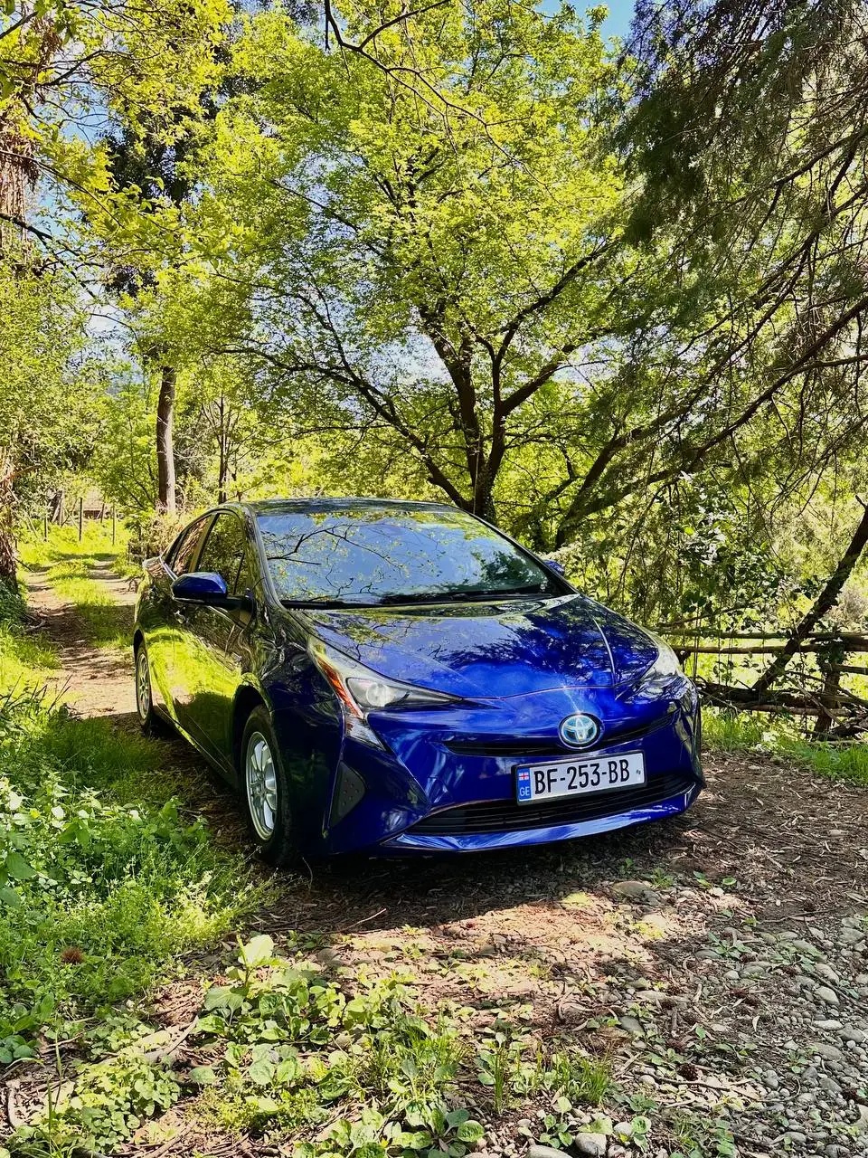 аренда Toyota Prius